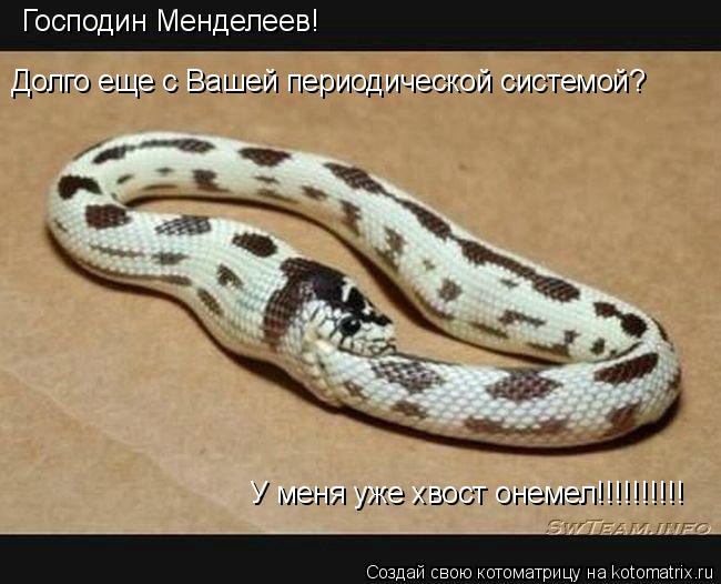 Господин Менделеев! Долго еще с Вашей периодической системой? У меня уже хвост онемел!!!!!!!!!!... Котоматрица: Господин Менделеев! Долго еще с Вашей периодической системой? У меня уже хвост онемел!!!!!!!!!!