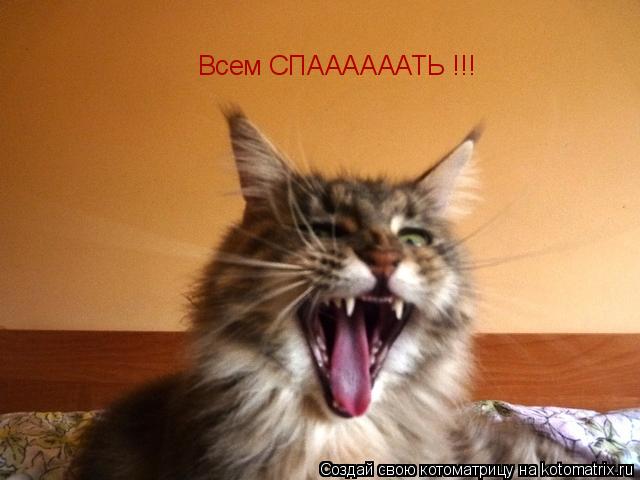 Всем СПААААААТЬ !!!... Котоматрица: Всем СПААААААТЬ !!!
