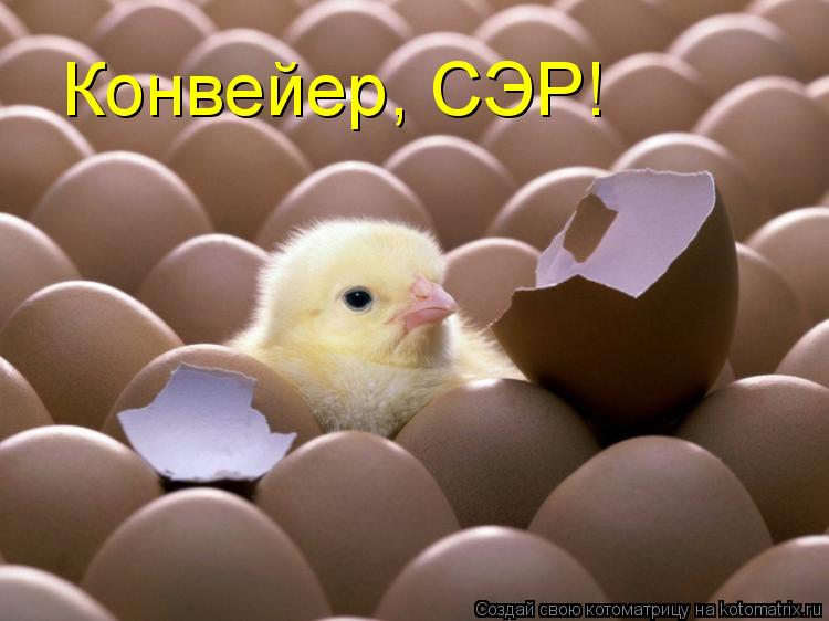 Конвейер, СЭР!... Котоматрица: Конвейер, СЭР!