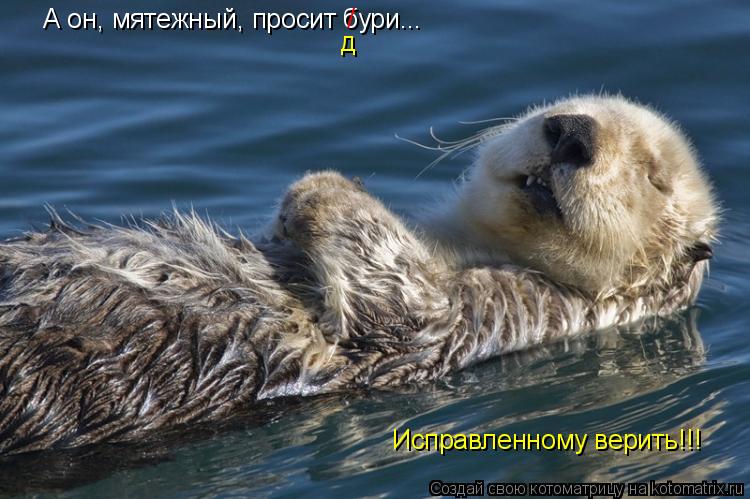 А он, мятежный, просит бури... / д Исправленному верить!!!... Котоматрица: А он, мятежный, просит бури... / д Исправленному верить!!!