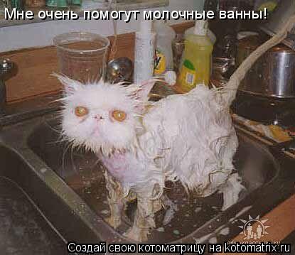 Мне очень помогут молочные ванны!... Котоматрица: Мне очень помогут молочные ванны!