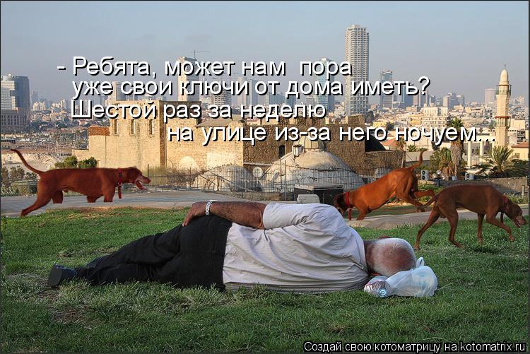 - Ребята, может нам пора уже свои ключи от дома иметь? Шестой раз за неделю на улице из-за него н... Котоматрица: - Ребята, может нам пора уже свои ключи от дома иметь? Шестой раз за неделю на улице из-за него ночуем...