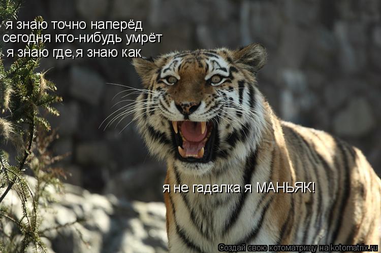 я знаю точно наперёд сегодня кто-нибудь умрёт я знаю где,я знаю как я не гадалка я МАНЬЯК!... Котоматрица: я знаю точно наперёд сегодня кто-нибудь умрёт я знаю где,я знаю как я не гадалка я МАНЬЯК!