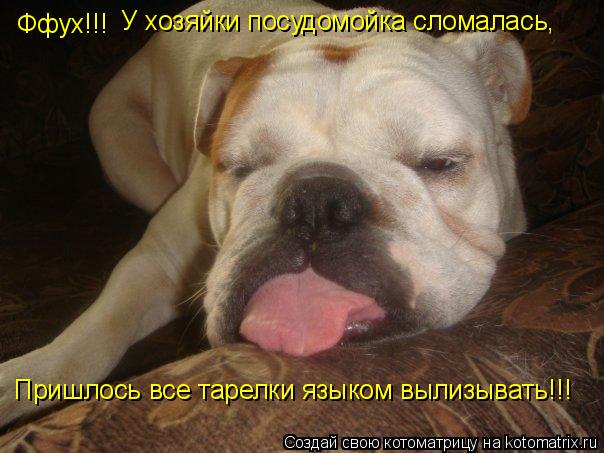 Ффух!!! У хозяйки посудомойка сломалась, Пришлось все тарелки языком вылизывать!!!... Котоматрица: Ффух!!! У хозяйки посудомойка сломалась, Пришлось все тарелки языком вылизывать!!!
