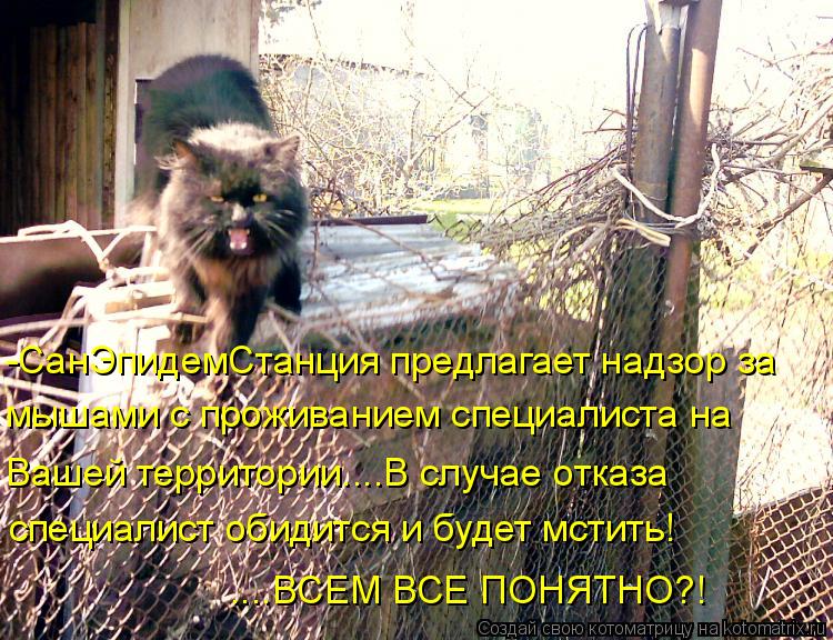 -СанЭпидемСтанция предлагает надзор за мышами с проживанием специалиста на Вашей территории....В случ... Котоматрица: -СанЭпидемСтанция предлагает надзор за мышами с проживанием специалиста на Вашей территории....В случае отказа специалист обидится и будет