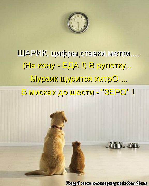 ШАРИК, цифры,ставки,метки.... (На кону - ЕДА !) В рулетку... Мурзик щурится хитрО.... В мисках до шес... Котоматрица: ШАРИК, цифры,ставки,метки.... (На кону - ЕДА !) В рулетку... Мурзик щурится хитрО.... В мисках до шести - "ЗЕРО" !