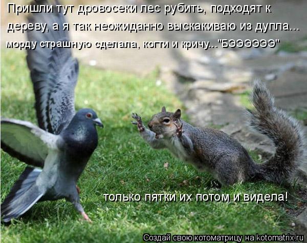Пришли тут дровосеки лес рубить, подходят к дереву, а я так неожиданно выскакиваю из дупла... тольк... Котоматрица: Пришли тут дровосеки лес рубить, подходят к дереву, а я так неожиданно выскакиваю из дупла... только пятки их потом и видела! морду страшную
