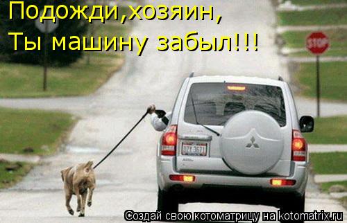 Ты машину забыл!!! Подожди,хозяин,... Котоматрица: Ты машину забыл!!! Подожди,хозяин,