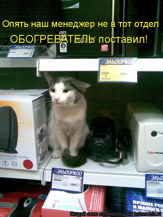 Котоматрица: ОБОГРЕВАТЕЛЬ поставил! Опять наш менеджер не в тот отдел