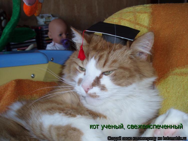 кот ученый, свежеиспеченный... Котоматрица: кот ученый, свежеиспеченный
