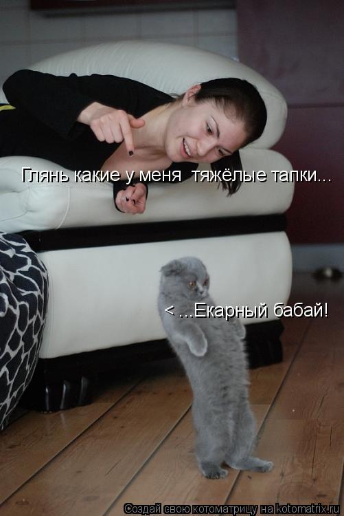 < ...Екарный бабай! Глянь какие у меня тяжёлые тапки...... Котоматрица: < ...Екарный бабай! Глянь какие у меня тяжёлые тапки...