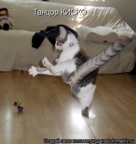 Танцор КИСКО... Котоматрица: Танцор КИСКО