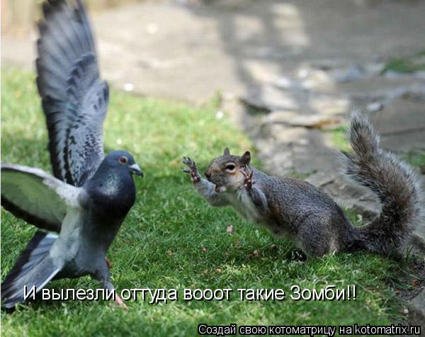 И вылезли оттуда вооот такие Зомби!!... Котоматрица: И вылезли оттуда вооот такие Зомби!!