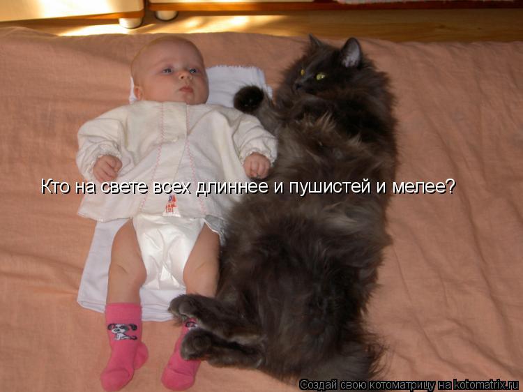 Кто на свете всех длиннее и пушистей и мелее?... Котоматрица: Кто на свете всех длиннее и пушистей и мелее?