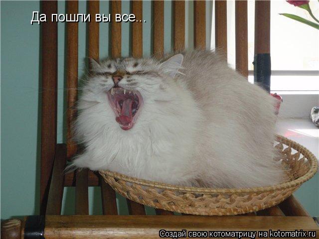 Да пошли вы все...... Котоматрица: Да пошли вы все...