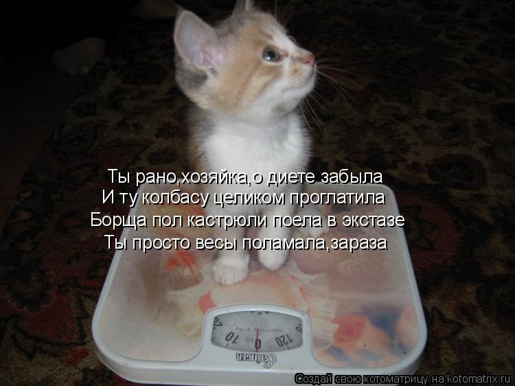 Ты рано,хозяйка,о диете забыла И ту колбасу целиком проглатила Борща пол кастрюли поела в экстазе Ты ... Котоматрица: Ты рано,хозяйка,о диете забыла И ту колбасу целиком проглатила Борща пол кастрюли поела в экстазе Ты просто весы поламала,зараза