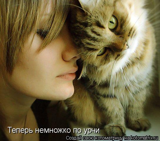 Теперь немножко по урчи... Котоматрица: Теперь немножко по урчи