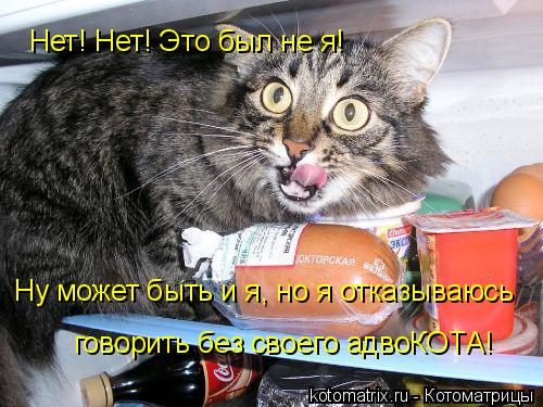 Нет! Нет! Это был не я! Ну может быть и я, но я отказываюсь говорить без своего адвоКОТА!... Котоматрица: Нет! Нет! Это был не я! Ну может быть и я, но я отказываюсь говорить без своего адвоКОТА!