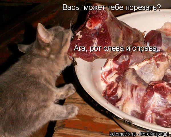 Вась, может тебе порезать? Ага, рот слева и справа...... Котоматрица: Вась, может тебе порезать? Ага, рот слева и справа...