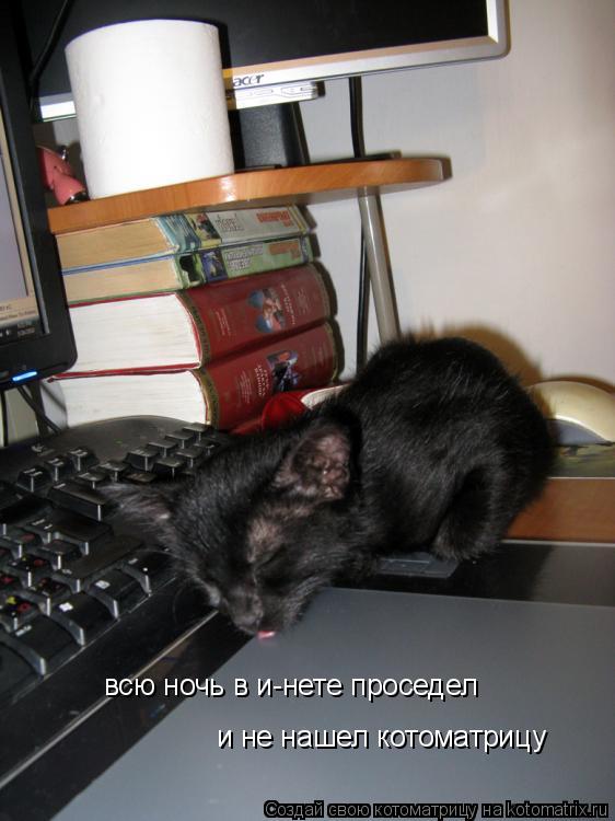 всю ночь в и-нете проседел и не нашел котоматрицу... Котоматрица: всю ночь в и-нете проседел и не нашел котоматрицу
