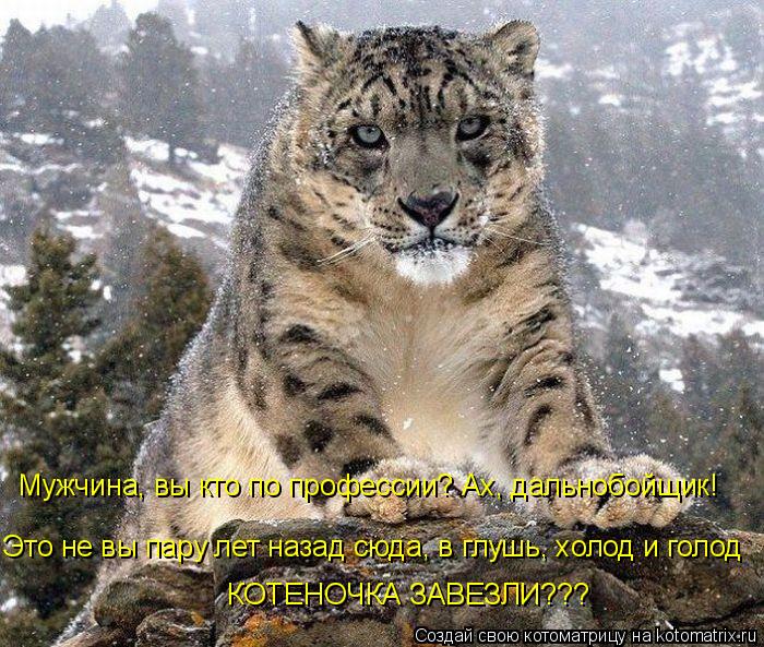 Мужчина, вы кто по профессии? Ах, дальнобойщик! Это не вы пару лет назад сюда, в глушь, холод и голод... Котоматрица: Мужчина, вы кто по профессии? Ах, дальнобойщик! Это не вы пару лет назад сюда, в глушь, холод и голод КОТЕНОЧКА ЗАВЕЗЛИ???