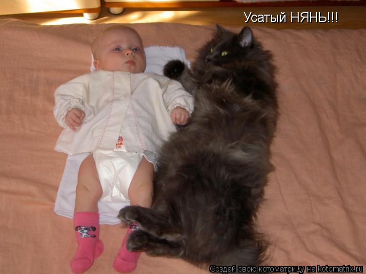 Усатый НЯНЬ!!!... Котоматрица: Усатый НЯНЬ!!!