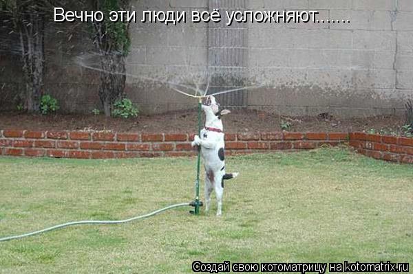 Вечно эти люди всё усложняют.......... Котоматрица: Вечно эти люди всё усложняют.......