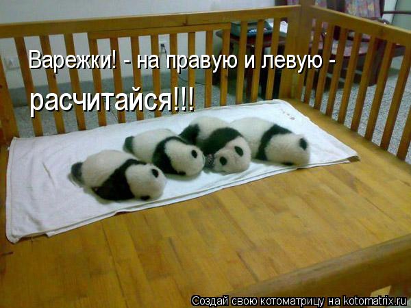 Варежки! - на правую и левую - расчитайся!!!... Котоматрица: Варежки! - на правую и левую - расчитайся!!!