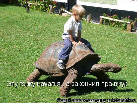 Эту гонку начал я , а закончил пра внук... Котоматрица: Эту гонку начал я , а закончил пра внук