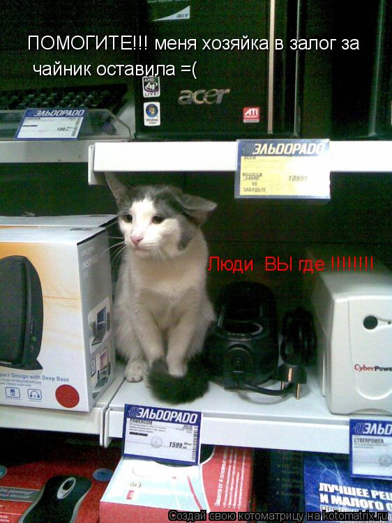 ПОМОГИТЕ!!! меня хозяйка в залог за чайник оставила =( Люди ВЫ где !!!!!!!!... Котоматрица: ПОМОГИТЕ!!! меня хозяйка в залог за чайник оставила =( Люди ВЫ где !!!!!!!!