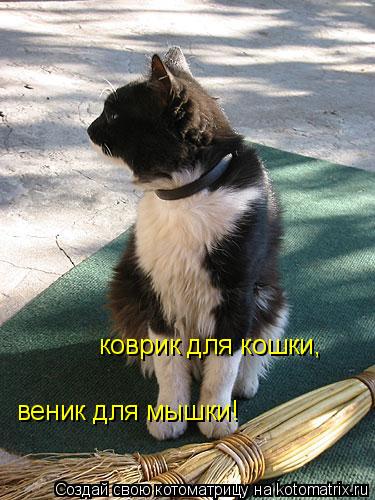 коврик для кошки, веник для мышки!... Котоматрица: коврик для кошки, веник для мышки!