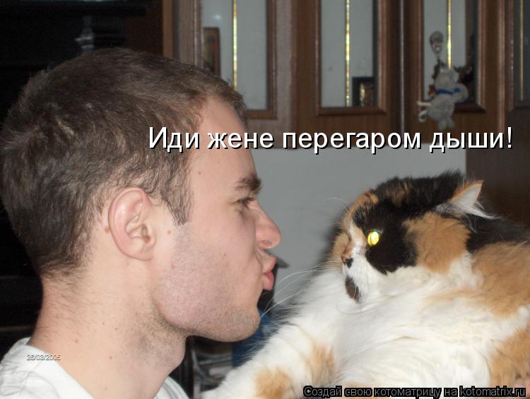 Иди жене перегаром дыши!... Котоматрица: Иди жене перегаром дыши!