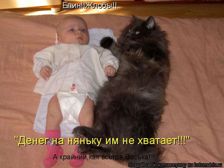 Блин!!Жлобы!! "Денег на няньку им не хватает!!!" А крайний,как всегда,Васька!!!... Котоматрица: Блин!!Жлобы!! "Денег на няньку им не хватает!!!" А крайний,как всегда,Васька!!!