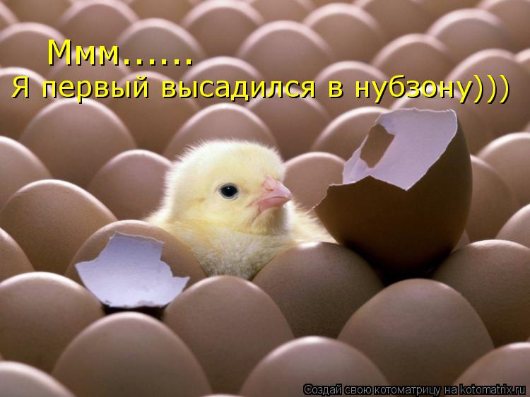 Ммм...... Я первый высадился в нубзону)))... Котоматрица: Ммм...... Я первый высадился в нубзону)))