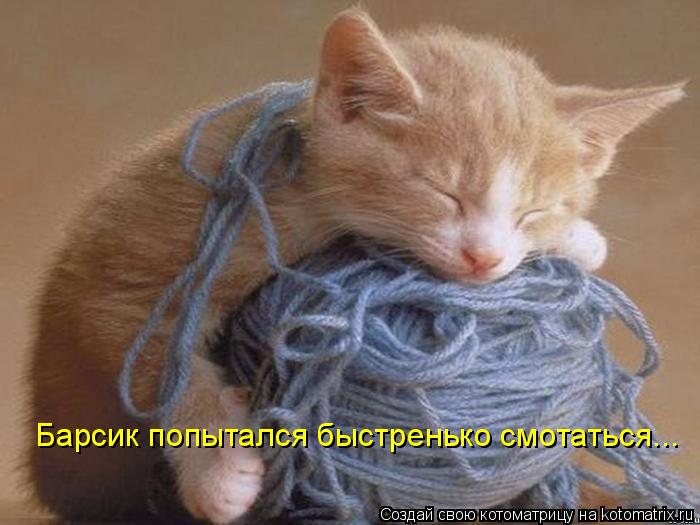 Котоматрица: Барсик попытался быстренько смотаться...