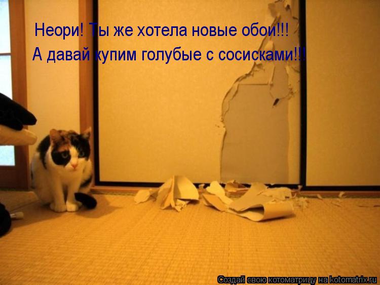 Неори! Ты же хотела новые обои!!! А давай купим голубые с сосисками!!!... Котоматрица: Неори! Ты же хотела новые обои!!! А давай купим голубые с сосисками!!!
