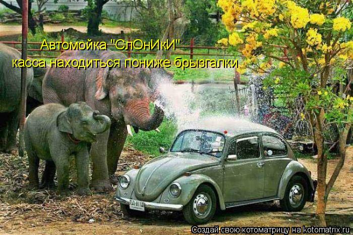 Автомойка "СлОнИкИ" касса находиться пониже брызгалки... Котоматрица: Автомойка "СлОнИкИ" касса находиться пониже брызгалки