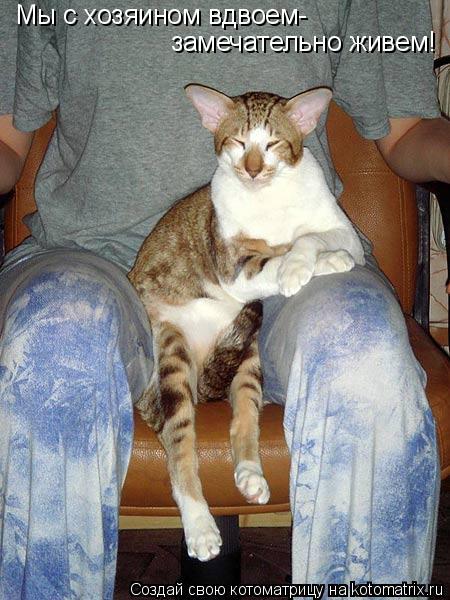 Мы с хозяином вдвоем- замечательно живем!... Котоматрица: Мы с хозяином вдвоем- замечательно живем!