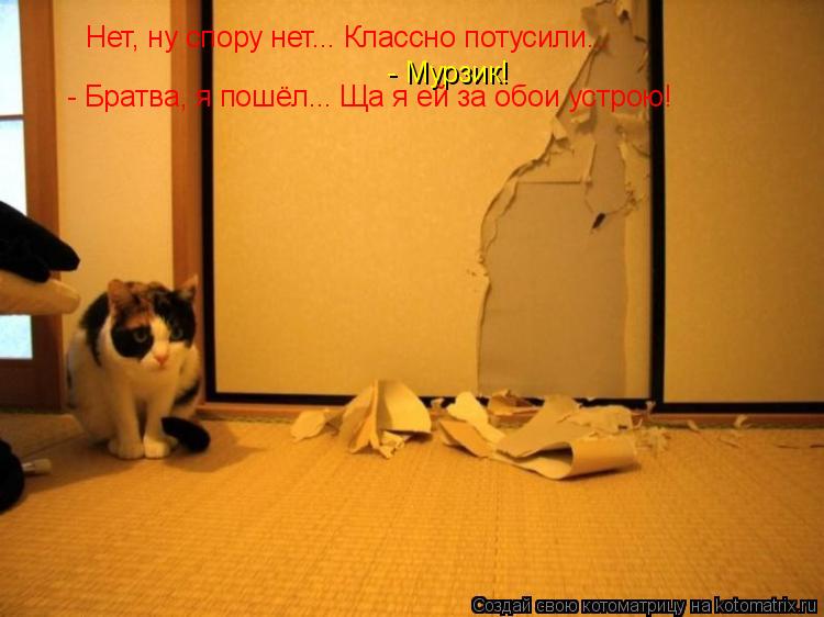 Нет, ну спору нет... Классно потусили... - Мурзик! - Братва, я пошёл... Ща я ей за обои устрою!... Котоматрица: Нет, ну спору нет... Классно потусили... - Мурзик! - Братва, я пошёл... Ща я ей за обои устрою!