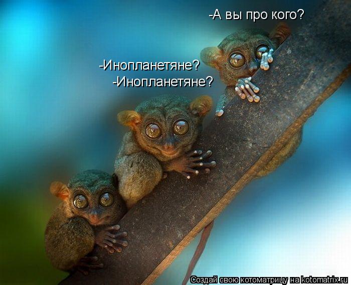 -Инопланетяне? -Инопланетяне? -А вы про кого?... Котоматрица: -Инопланетяне? -Инопланетяне? -А вы про кого?