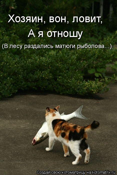Хозяин, вон, ловит, А я отношу (В лесу раздались матюги рыболова...)... Котоматрица: Хозяин, вон, ловит, А я отношу (В лесу раздались матюги рыболова...)