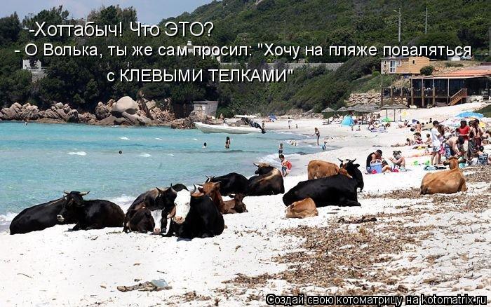 -Хоттабыч! Что ЭТО? - О Волька, ты же сам просил: "Хочу на пляже поваляться с КЛЕВЫМИ ТЕЛКАМИ"... Котоматрица: -Хоттабыч! Что ЭТО? - О Волька, ты же сам просил: "Хочу на пляже поваляться с КЛЕВЫМИ ТЕЛКАМИ"