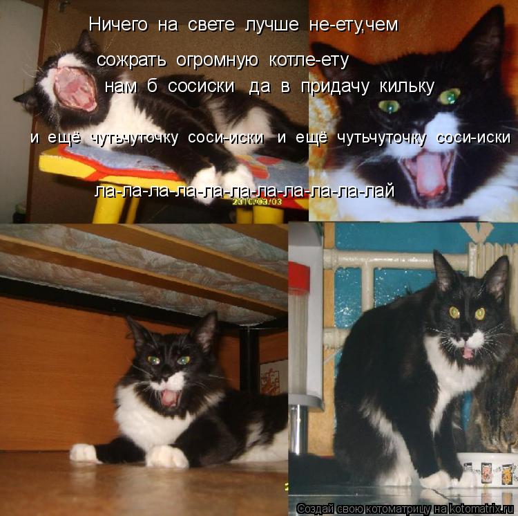 Ничего на свете лучше не-ету,чем сожрать огромную котле-ету нам б сосиски да в придачу ... Котоматрица: Ничего на свете лучше не-ету,чем сожрать огромную котле-ету нам б сосиски да в придачу кильку ла-ла-ла-ла-ла-ла-ла-ла-ла-ла-лай и ещё