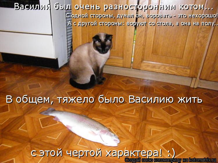 Василий был очень разносторонним котом... С одной стороны, думал он, воровать - это нехорошо! А с дру... Котоматрица: Василий был очень разносторонним котом... С одной стороны, думал он, воровать - это нехорошо! А с другой стороны: воруют со стола, а она на полу