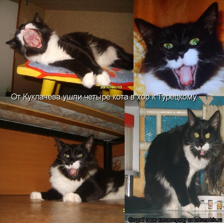 От Куклачева ушли четыре кота в хор к Турецкому.... Котоматрица: От Куклачева ушли четыре кота в хор к Турецкому.