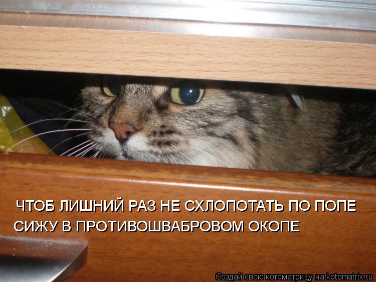 ЧТОБ ЛИШНИЙ РАЗ НЕ СХЛОПОТАТЬ ПО ПОПЕ СИЖУ В ПРОТИВОШВАБРОВОМ ОКОПЕ... Котоматрица: ЧТОБ ЛИШНИЙ РАЗ НЕ СХЛОПОТАТЬ ПО ПОПЕ СИЖУ В ПРОТИВОШВАБРОВОМ ОКОПЕ