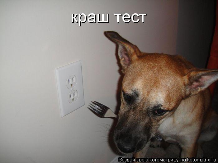 краш тест... Котоматрица: краш тест