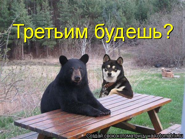 Третьим будешь?... Котоматрица: Третьим будешь?