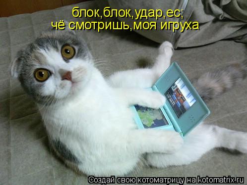 блок,блок,удар,ес; чё смотришь,моя игруха... Котоматрица: блок,блок,удар,ес; чё смотришь,моя игруха