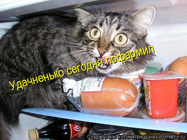 Удачненько сегодня пофармил... Котоматрица: Удачненько сегодня пофармил